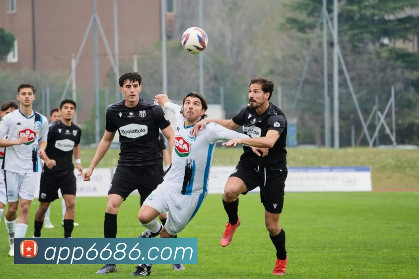 未来规划